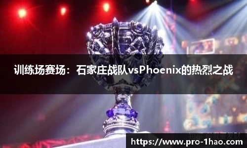 训练场赛场：石家庄战队vsPhoenix的热烈之战